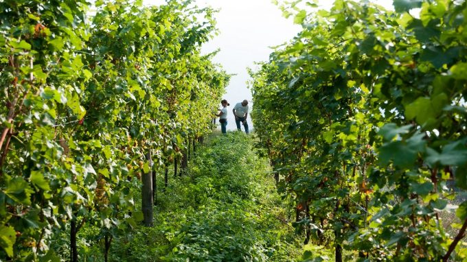 L’Arcivescovo alla Cascina Don Guanella, dove si coltiva la speranza