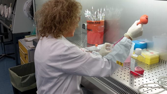 «Diciamo che siamo in guerra perché non abbiamo altre parole»