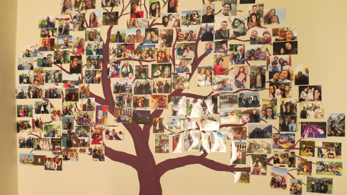 Dopo il Coronavirus, in Brianza rinasce l'albero della vita