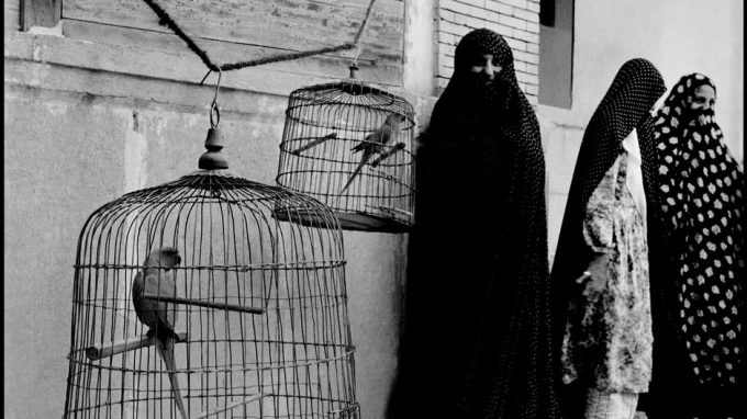 moi1956009w00886-20c