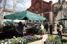 In San Marco torna Floralia