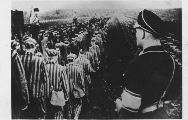 Online l’archivio fotografico delle deportazioni naziste