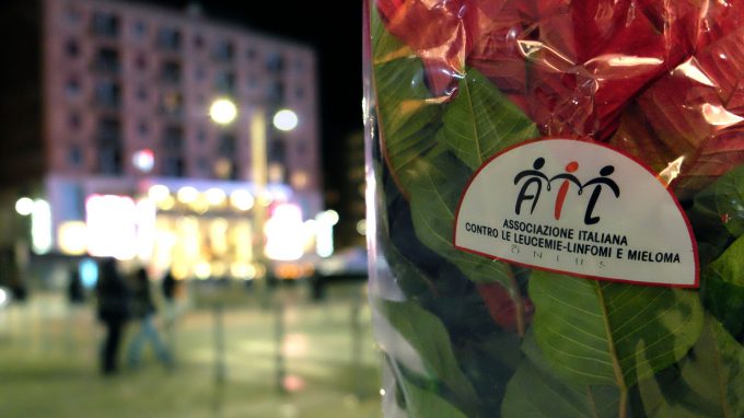 stelle-piazza-xxv-aprile-05