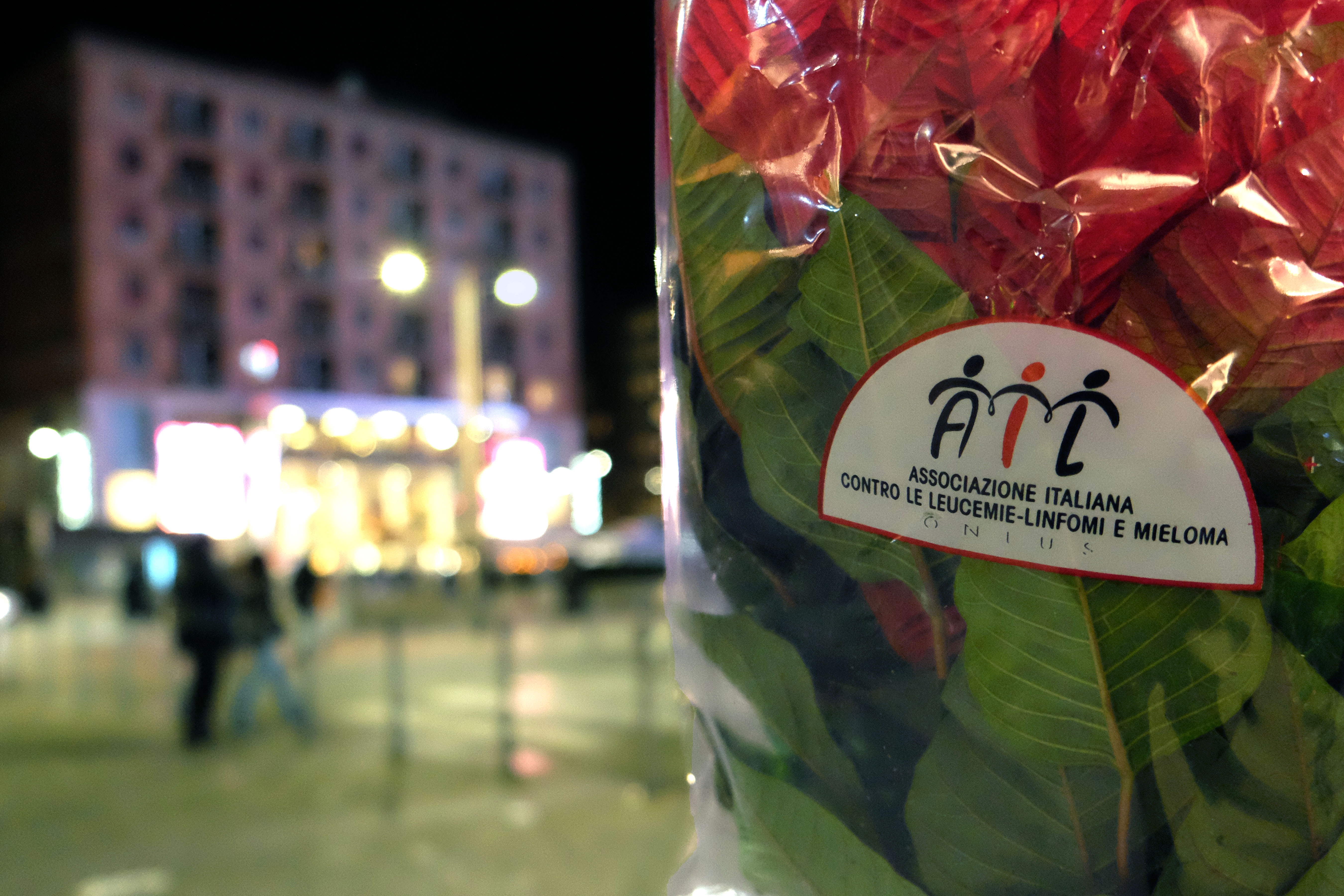 -Stelle PIAZZA XXV APRILE-05