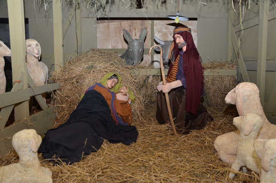 132051702_225635055736135_482709654467724213_o (1)