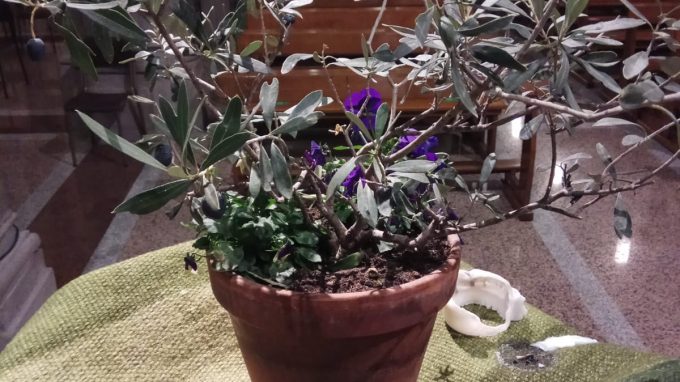 whatsapp-image-2021-02-01-at-22-38-04