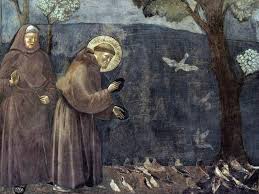 Il contributo della vita consacrata all’ecologia integrale