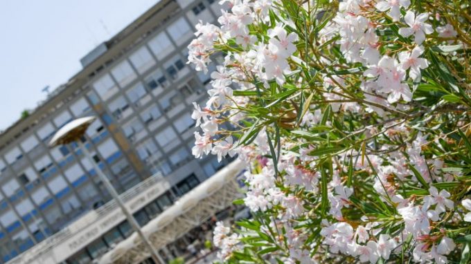 Papa Francesco reciterà l’Angelus dal Gemelli