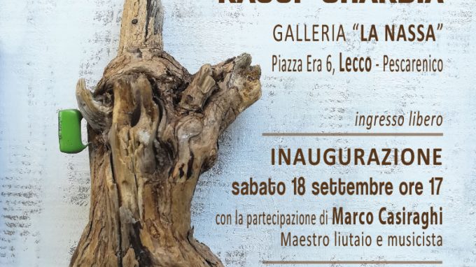 In mostra a Lecco le “storie” dei legni portati dal lago