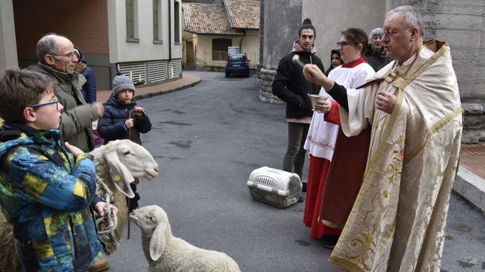 s-antonio-malavedo-2019-3