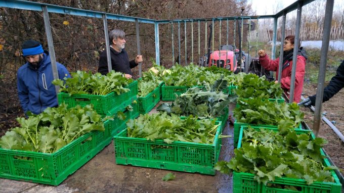 Rozzano: agricoltura bio per dare speranza a giovani immigrati