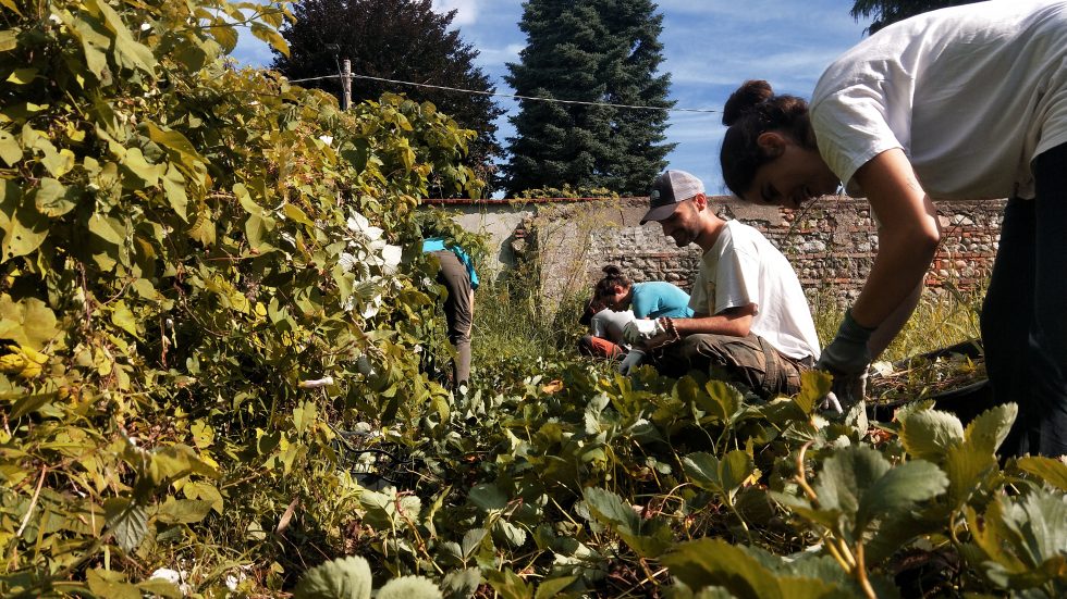 Attività presso la Comunità Pachamama