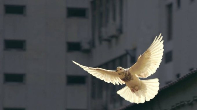 I cristiani e il dilemma della pace