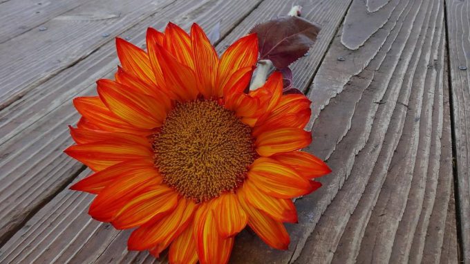 Ac, una vacanza all’insegna dell’economia circolare