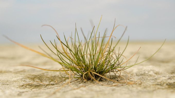 La preghiera dell’Arcivescovo per il dono dell’acqua