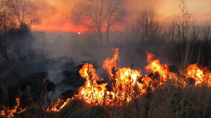Violoni: «Crisi climatica? Un incendio in tutti i sensi»