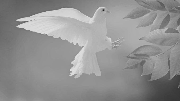 A Corbetta tutti in marcia per la Pace