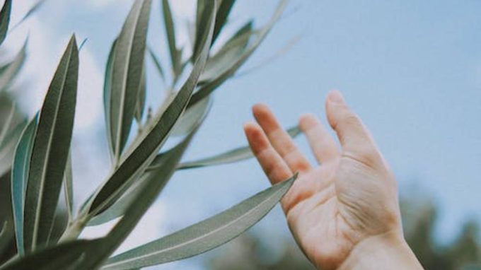 Uniti in preghiera per la pace