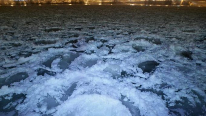 Il risveglio dei virus