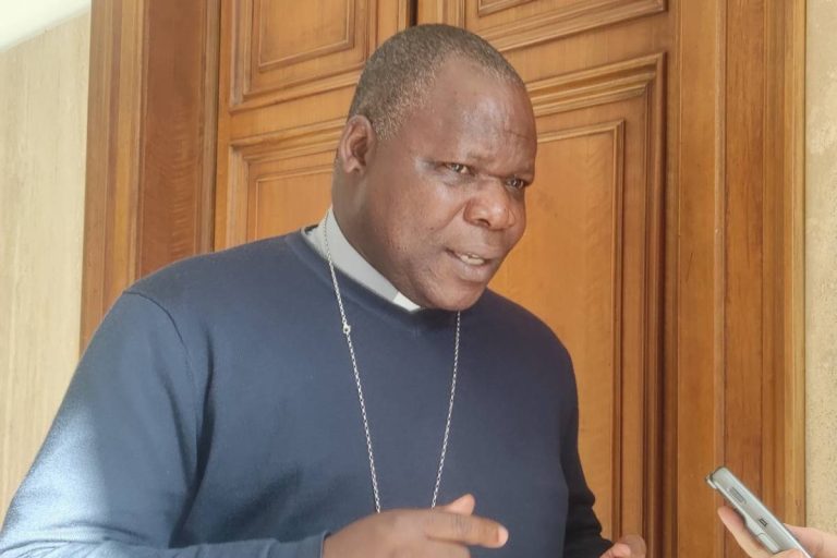 Il cardinale Dieudonné Nzapalainga (foto Popoli e Missione)