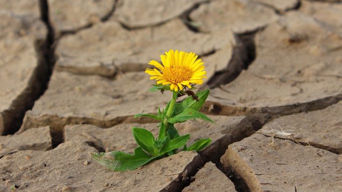 Gruppi Acor, due-giorni a Caravaggio