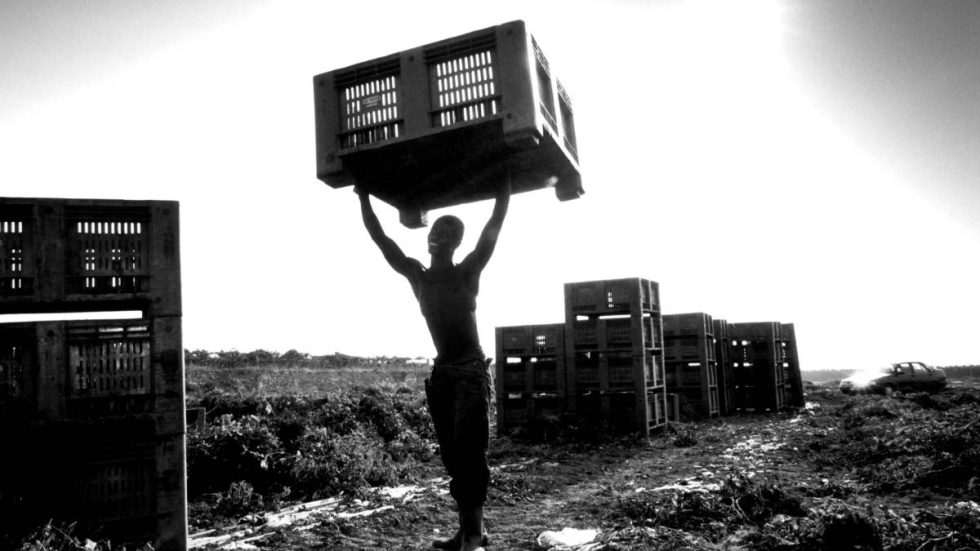 Migrante al lavoro (foto Contrasto)