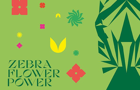 Al via la nuova edizione del Festival del cinema del Coe