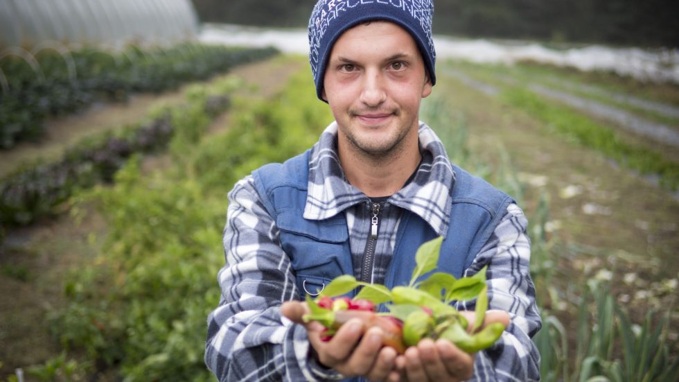 Rozzano, festa in Cascina per l'agricoltura che include