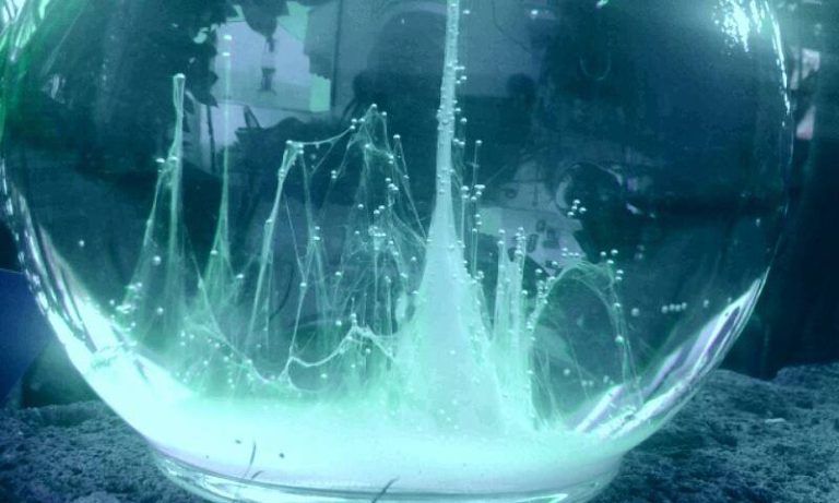 La «Barca di San Pietro»