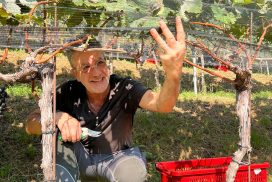 Evento benefico: dalla vigna della Collegiata note di solidarietà