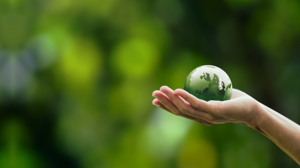 WEB-BANNER-COP-28-GULF-COURT-HOTEL-BUSINESS-BAY-DUBAI-UAE-7