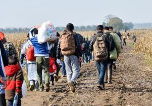 MilImg_193_515732_1305942_20240117090505_2