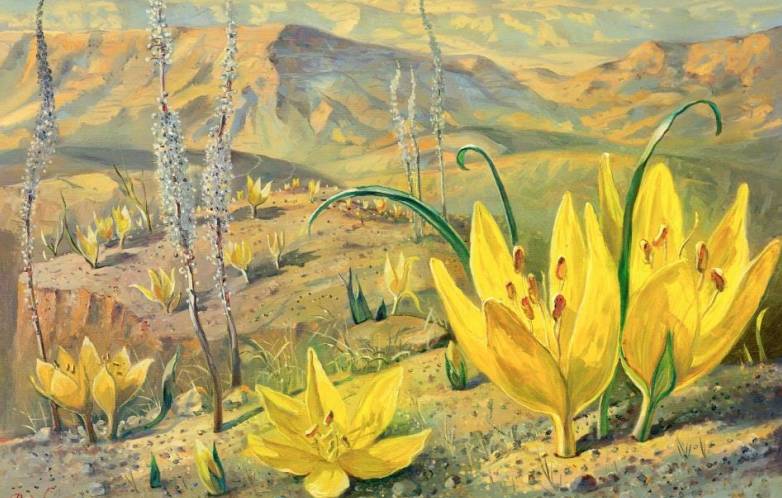 Giornata per il dialogo ebraico-cristiano, a Milano incontro con Elena Lea Bartolini e Brunetto Salvarani