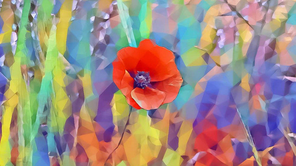 Mostra fotografica: Resistere non piegarci