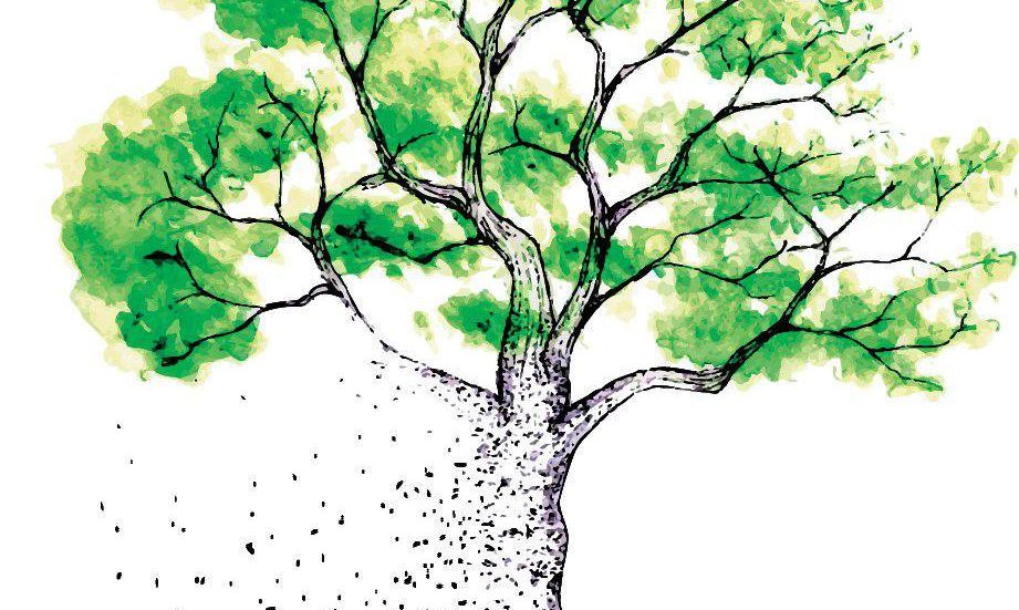 347112980_228235863296660_5910497401244003952_n Foto dalla pagina Facebook Entropy for life