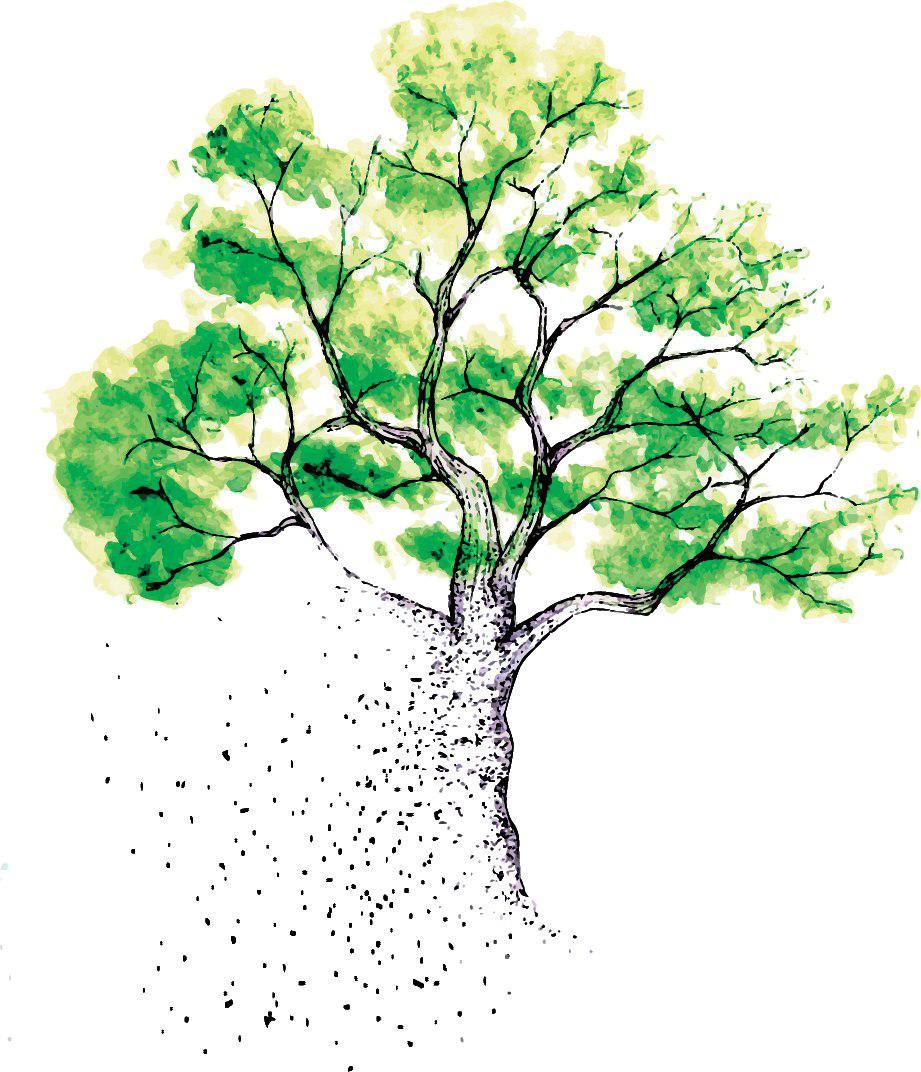 «Entropy for life»: a Valmadrera serata ecologica con il biologo Moro Mauretto