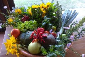 Laudato sì: al Nocetum Rosario e preghiera della Creazione