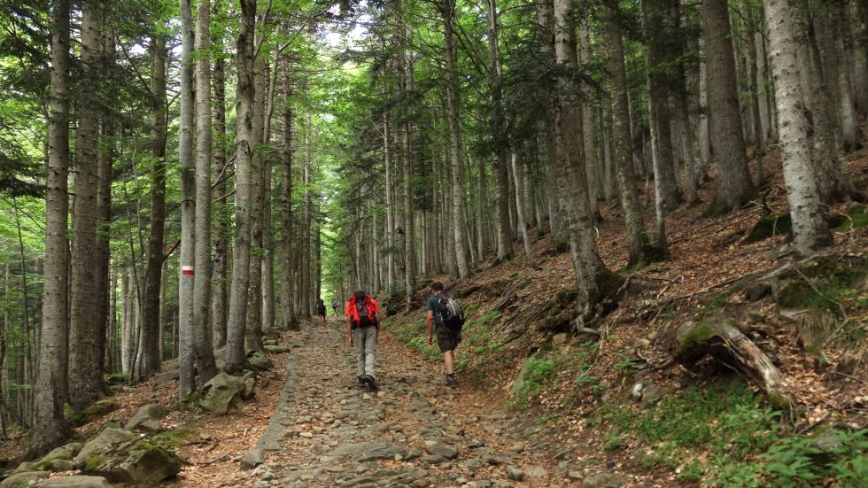 Trekking nelle montagne dell’ Appennino reggiano Civago (Re) - Domenica affollata per l' alto Appennino reggiano dove i turisti hanno percorso a piedi o in e-bike i sentieri che portano sul crinale (Civago (Re) - 2022-07-10, Roberto Brancolini) p.s. la foto e' utilizzabile nel rispetto del contesto in cui e' stata scattata, e senza intento diffamatorio del decoro delle persone rappresentate
