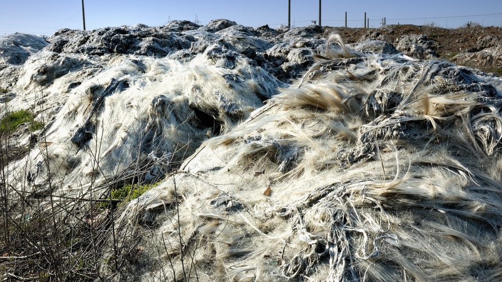 Crisi climatica e biodiversità agricola
