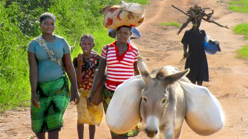70 anni: sabato 15 giugno Celim in festa