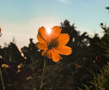 A Magenta una mostra sul “santo di Nagasaki”