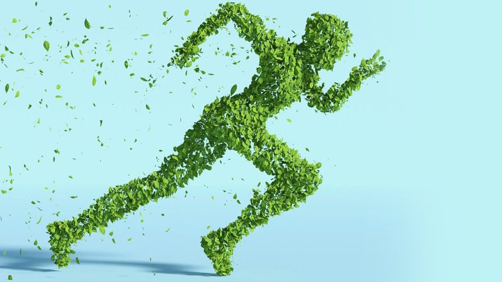 Cattolica Green Days, essere parte del cambiamento