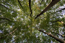 A Settimo milanese, al via i “Sentieri della ricerca e della fede” con don Gildo Conti