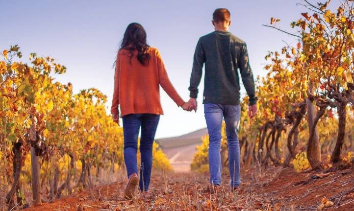 Itinerario alla riscoperta della gioia del matrimonio cristiano