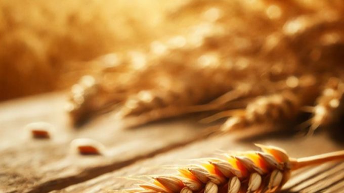 Cristiani di Milano in preghiera per la Pasqua comune