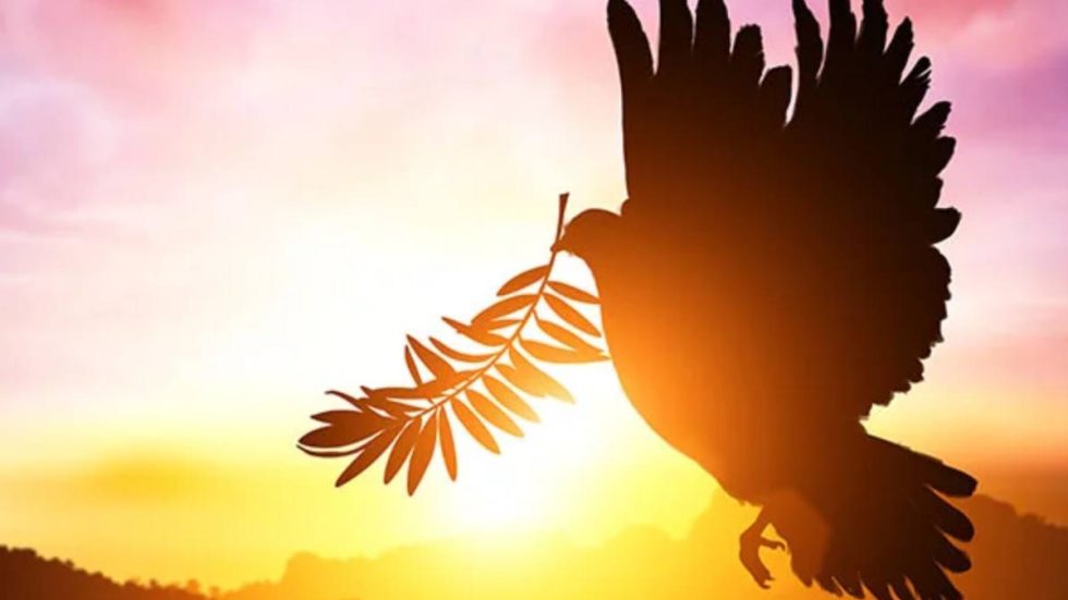 Educare-alla-Libertà-e-alla-Pace