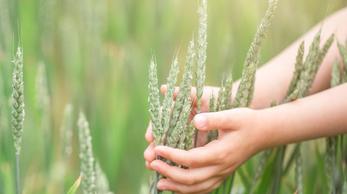 «Laudato si’», la voce della Chiesa per la terra e i poveri