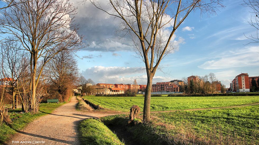 “Chiamiamo per nome i Fontanili”: pomeriggio agriculturale al Parco delle Cave