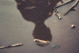 La Comunità ecclesiale di fronte agli abusi: percorsi e riflessioni per una cultura della prevenzione