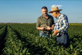 Tempo del Creato: a Cassinetta incontro con don Costante e Benedizione dei prodotti agricoli con l'Arcivescovo